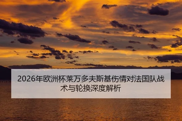 nian-ou-zhou-bei-lai-wan-duo-fu-si-ji-shang-qing-dui-fa-guo-dui-zhan-shu-yu-lun-huan-shen-du-jie-xi-2-132.jpg