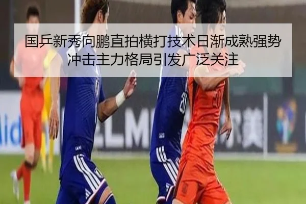 国乒新秀向鹏直拍横打技术日渐成熟强势冲击主力格局引发广泛关注