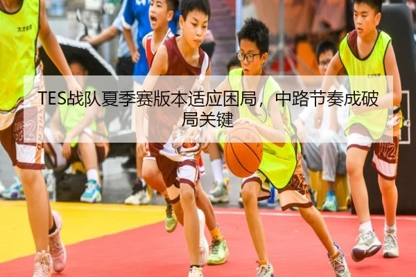 TES战队夏季赛版本适应困局，中路节奏成破局关键