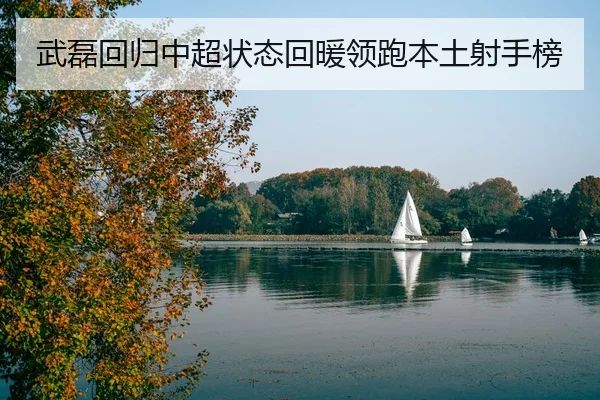 武磊回归中超状态回暖领跑本土射手榜
