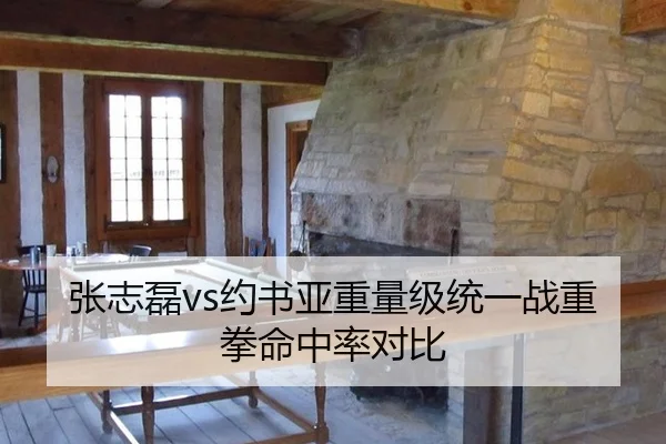 张志磊vs约书亚重量级统一战重拳命中率对比